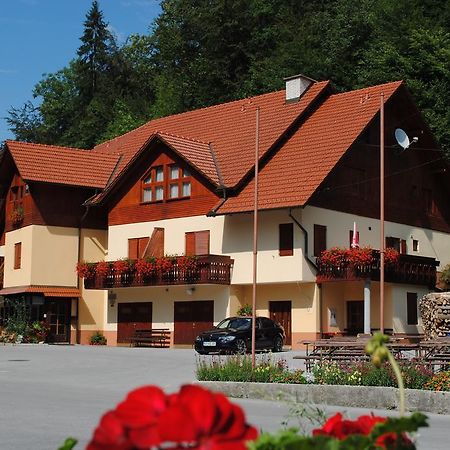 Pri Vidrgarju Vace Exterior foto